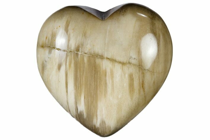 Polished, Triassic Petrified Wood Heart - Madagascar #115513